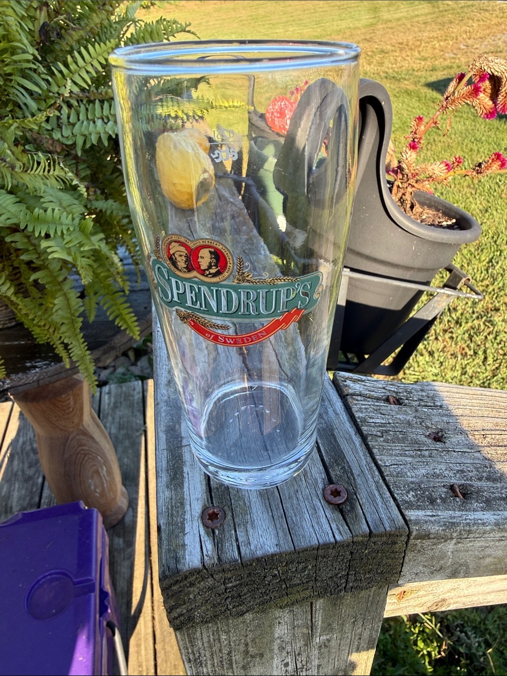 Branded Pint Glass — Clear Glass with Green & Red Logo